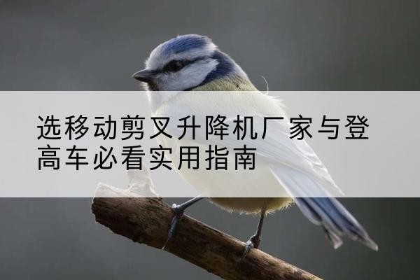 长海电动升降机厂家-选移动剪叉升降机厂家与登高车必看实用指南