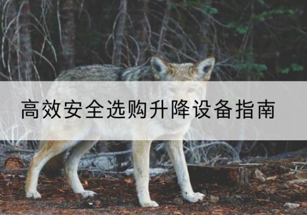 长海升降货梯厂家推荐-*安全选购升降设备指南