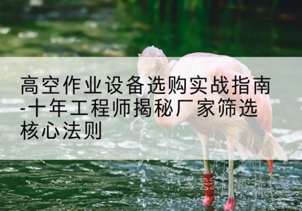 长海剪叉式升降机厂家-高空作业设备选购实战指南-十年工程师揭秘厂家筛选核心法则